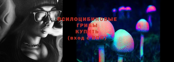 не бодяженный Осинники