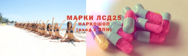 прущие грибы Осташков