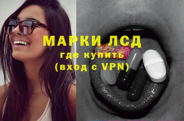 прущие грибы Осташков