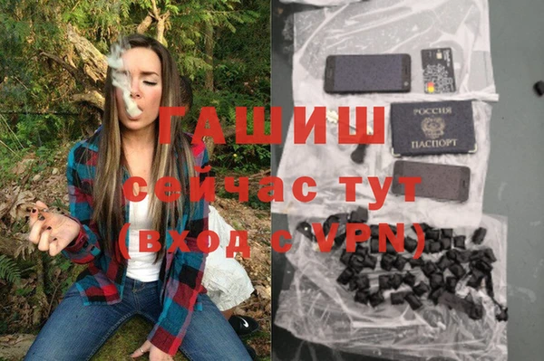 прущие грибы Осташков