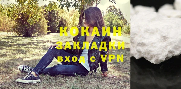 прущие грибы Осташков