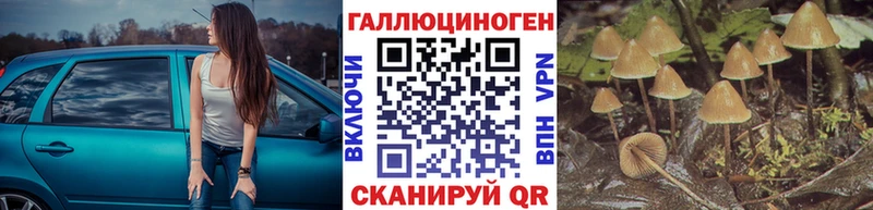 Псилоцибиновые грибы мицелий  ссылка на мегу маркетплейс  Знаменск 