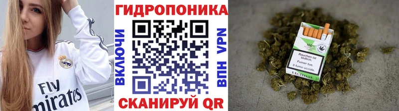 где купить   Знаменск  blacksprut ССЫЛКА  МАРИХУАНА SATIVA & INDICA 